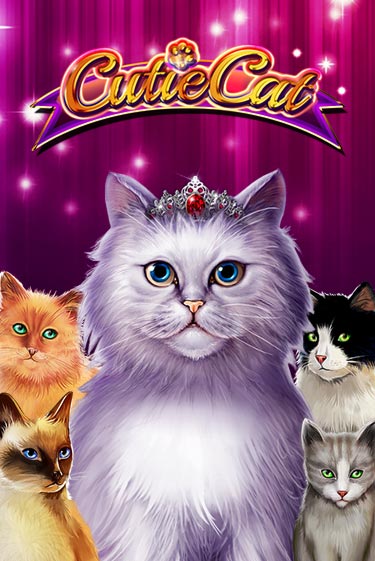 Демо игра Cutie Cat без регистрации | Champion Slots BY 